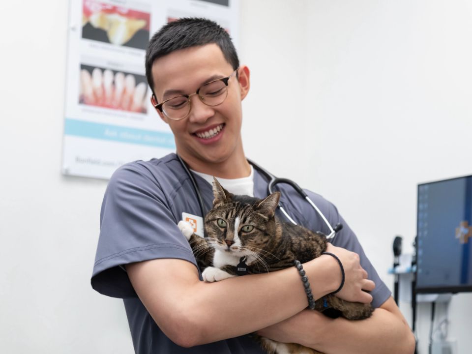 Una Credentialed Veterinary Technician sosteniendo un perro en el veterinario