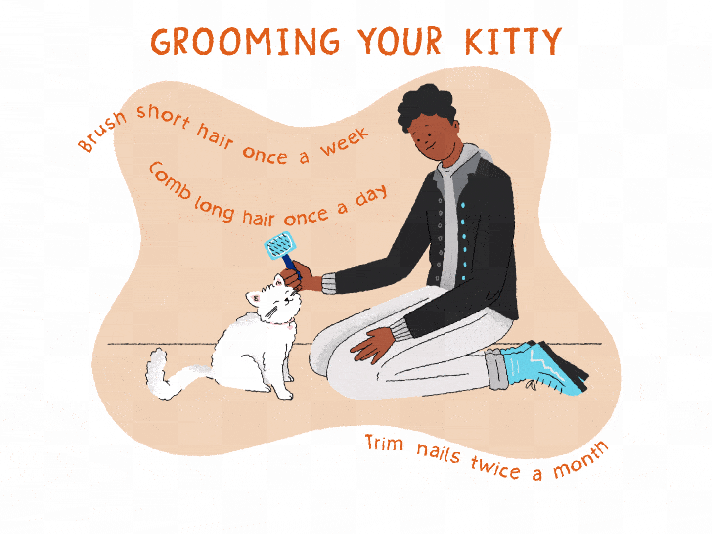 ilustración de un dueño que cepilla un gato blanco