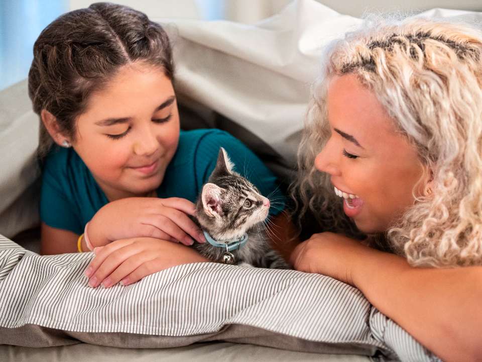 niñas abrazando un gatito bajo una manta