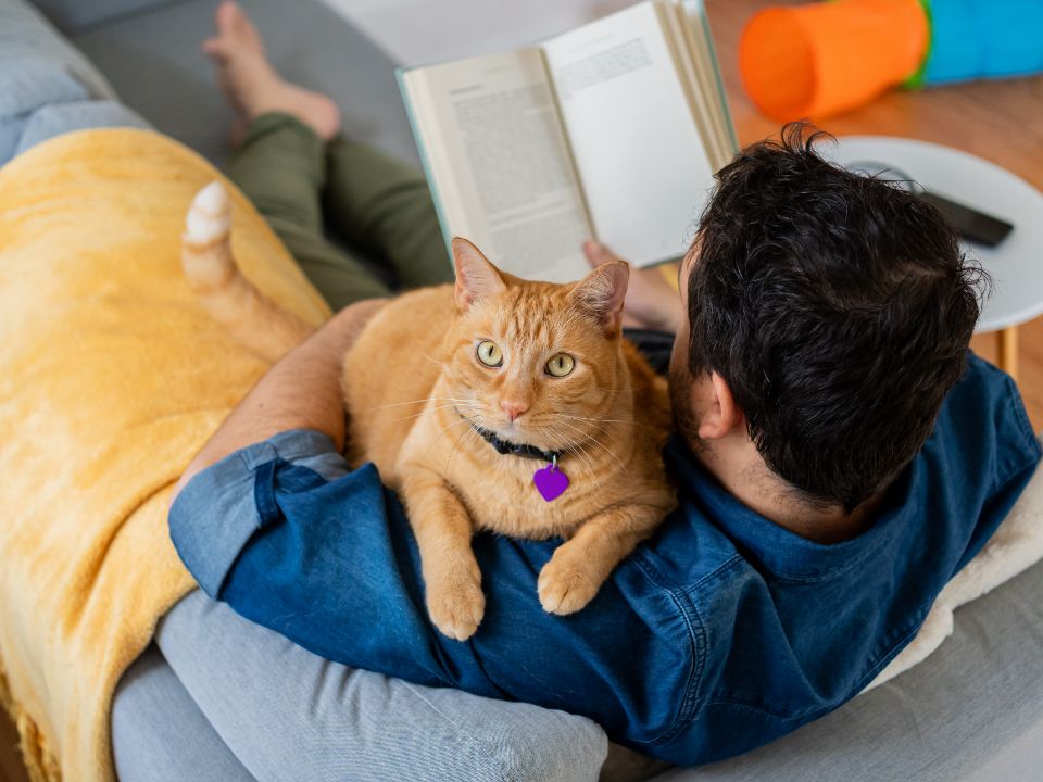 hombre leyendo en el sofá mientras acaricia a un gato naranja