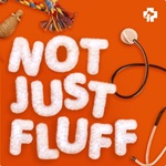 Logotipo del podcast Not Just Fluff