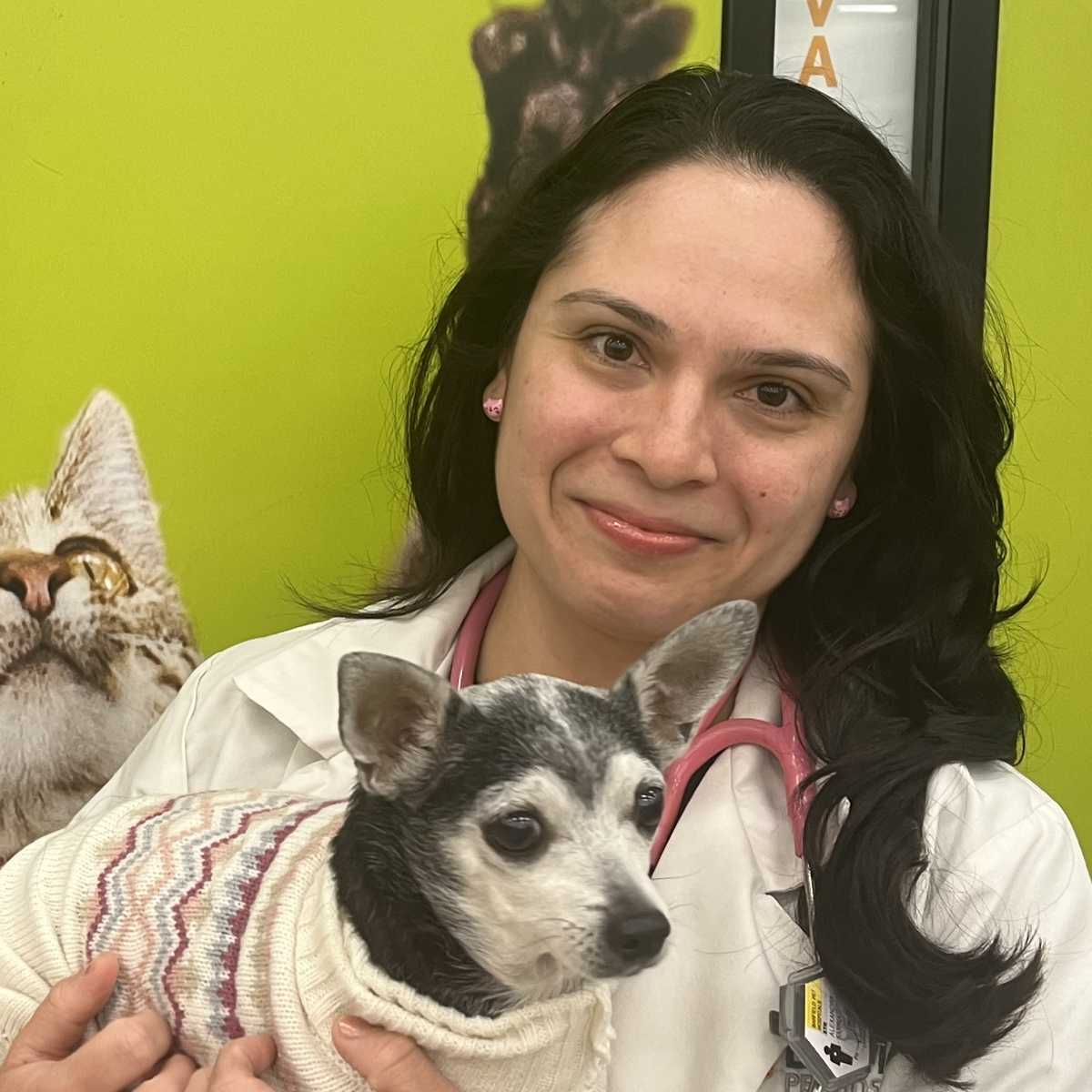 Profile picture of Alexandra Sarria, Dr., DVM, Veterinarian