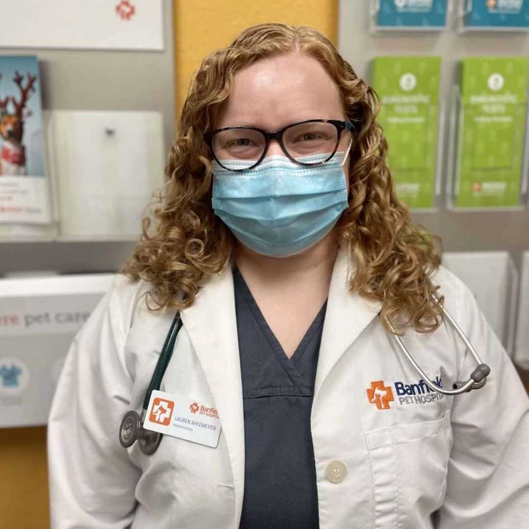 Profile picture of Lauren Ahlemeyer, DVM, Veterinarian