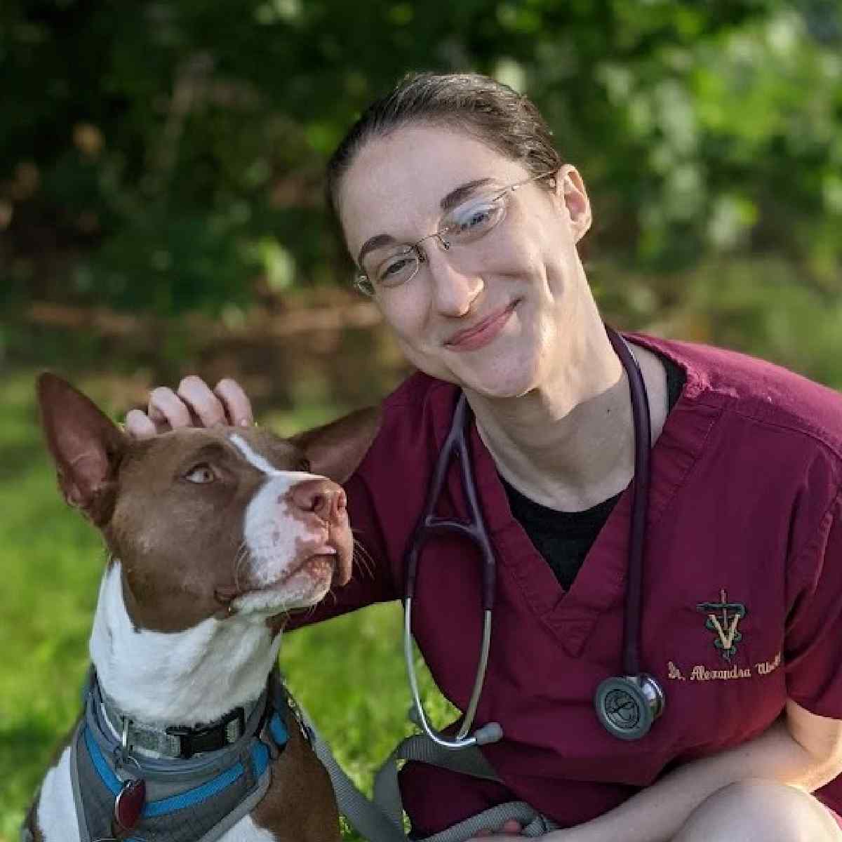 Imagen de perfil de Alexandra Ubell, DVM, Veterinario