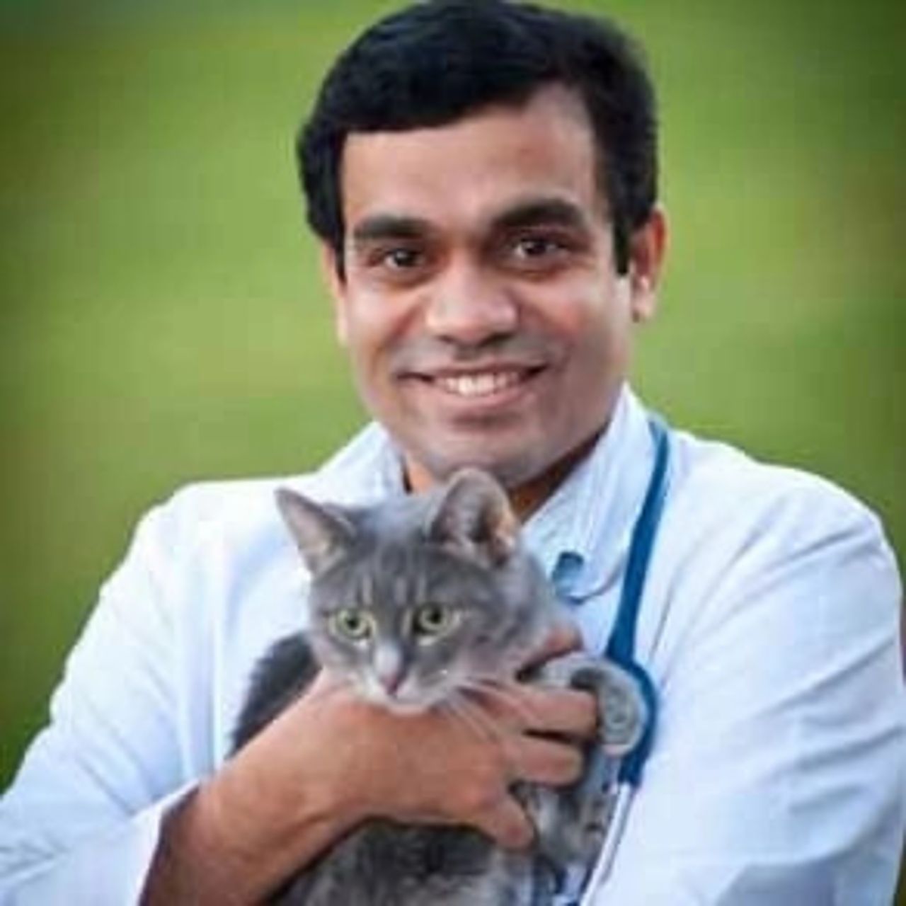 Profile picture of Satheesh Chencheri, DVM, Veterinarian