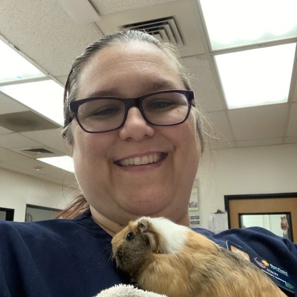 Profile picture of Stacey Colby, Veterinary Assistant