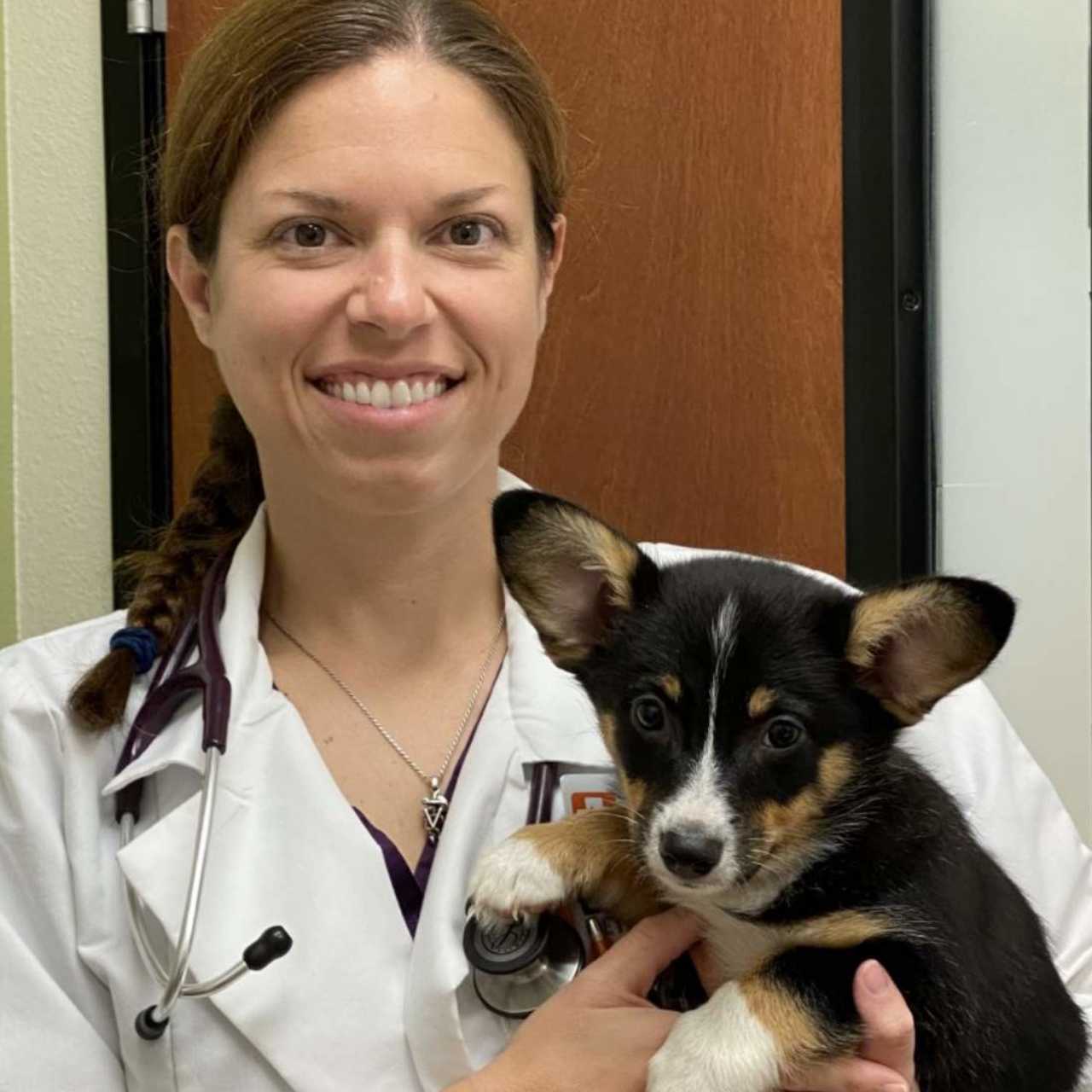 Profile picture of Molly Clark, DVM, Veterinarian