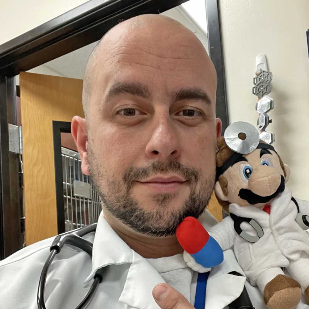 Profile picture of Joshua Chelgren, DVM, Veterinarian