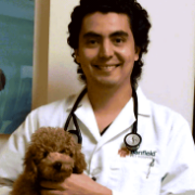 Imagen de perfil de Hernan Diaz Parra, DVM, Veterinario