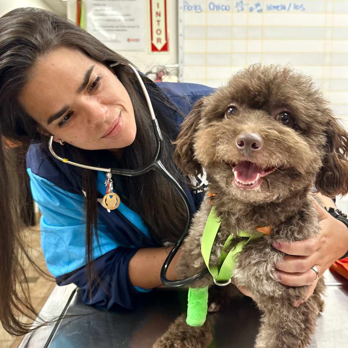 Imagen de perfil de Frances Camille Rodriguez Vega, LVT, Técnica veterinaria acreditada