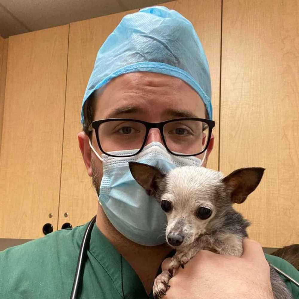 Profile picture of Chandler Jackson, Veterinary Assistant