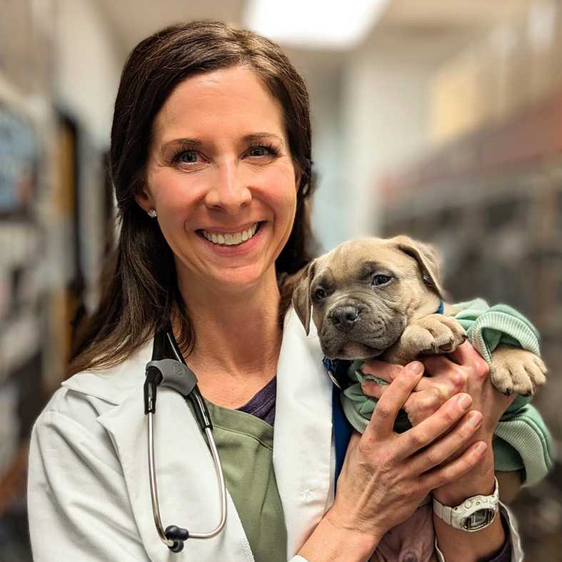 Profile picture of Stephanie Jones, DVM, cVMA, Veterinarian