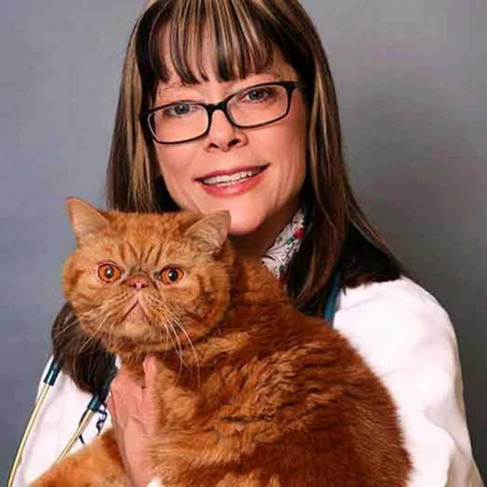 Profile picture of Melinda Knox, DVM, Veterinarian