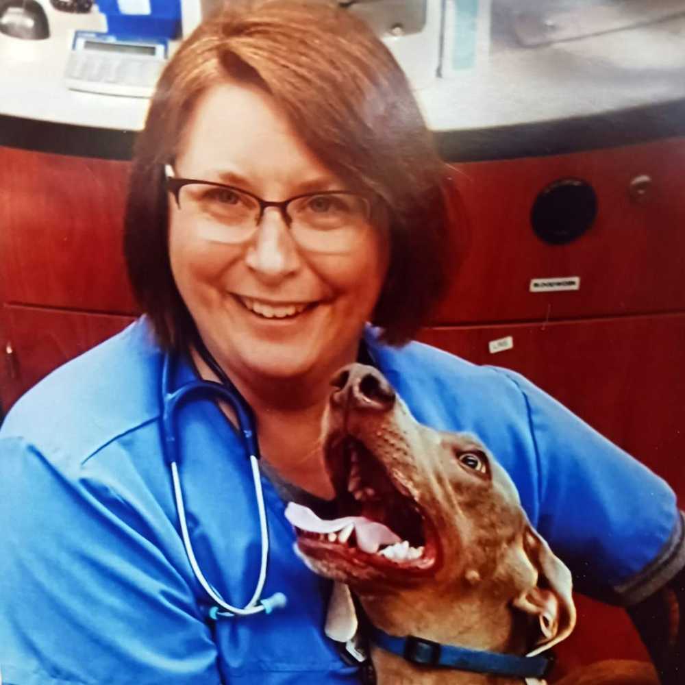 Profile picture of Susan Kivett, DVM, Veterinarian