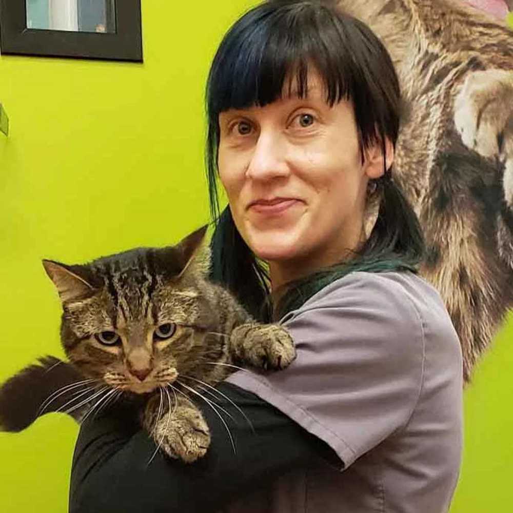 Profile picture of Jessie Miljevic, CVT, Credentialed Veterinary Technician