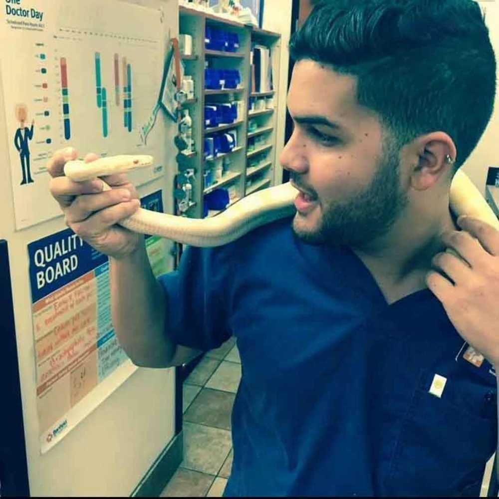 Profile picture of Daniel Resto Ortiz, Veterinary Technician