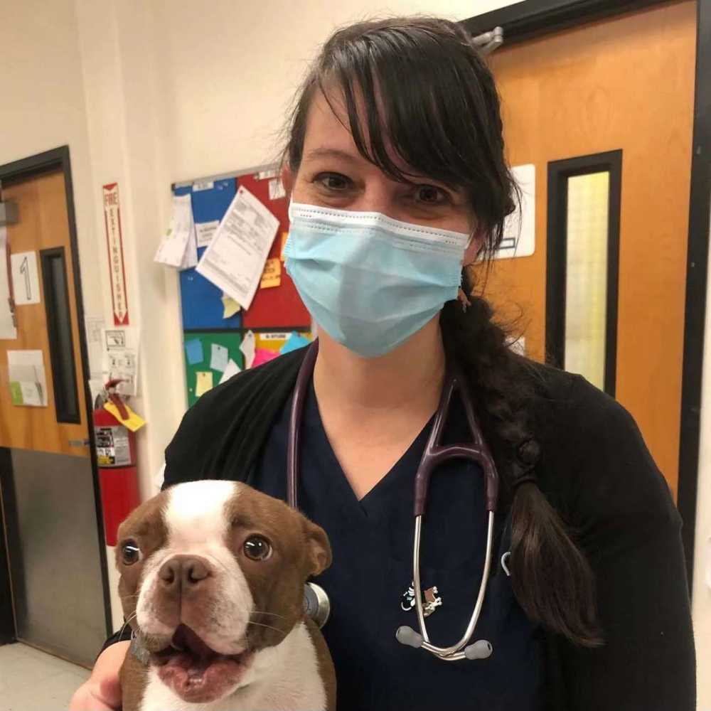 Profile picture of Alyssa Sweet, Veterinary Assistant