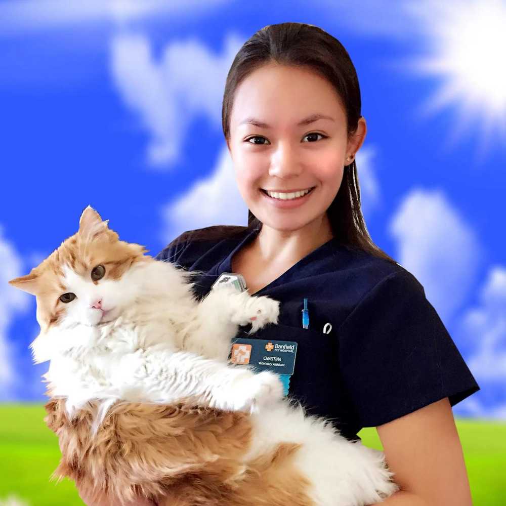 Profile picture of Christina Sosnowski, Veterinary Assistant