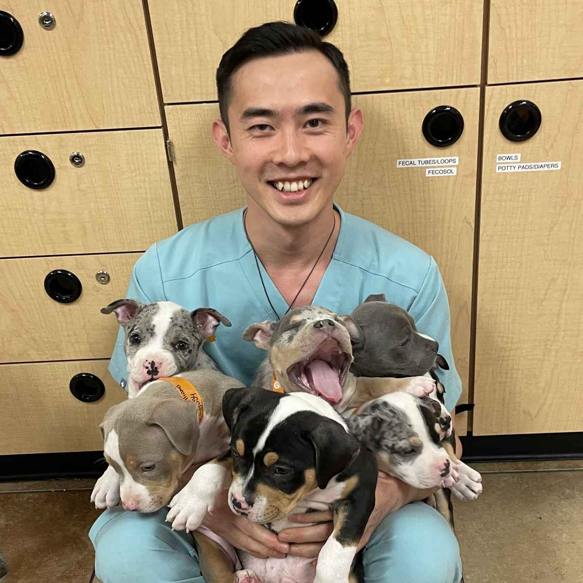 Profile picture of Hanxiao Wang, DVM, Veterinarian