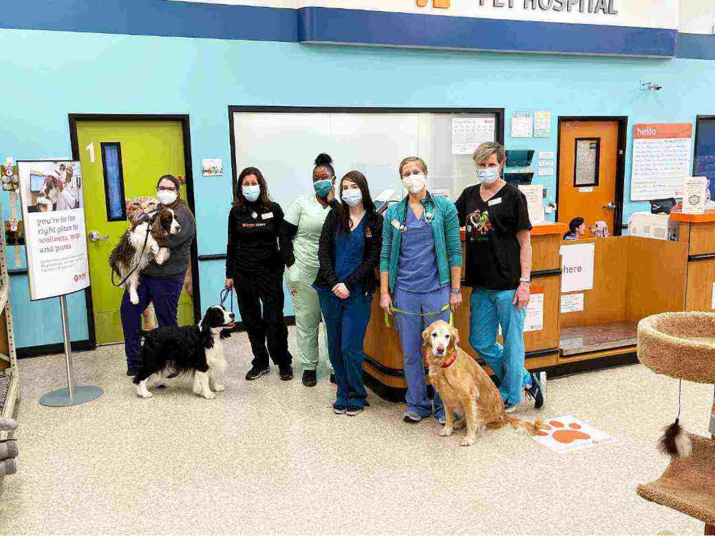 Grupo de asociados Banfield con algunos perros en Banfield Pet Hospital