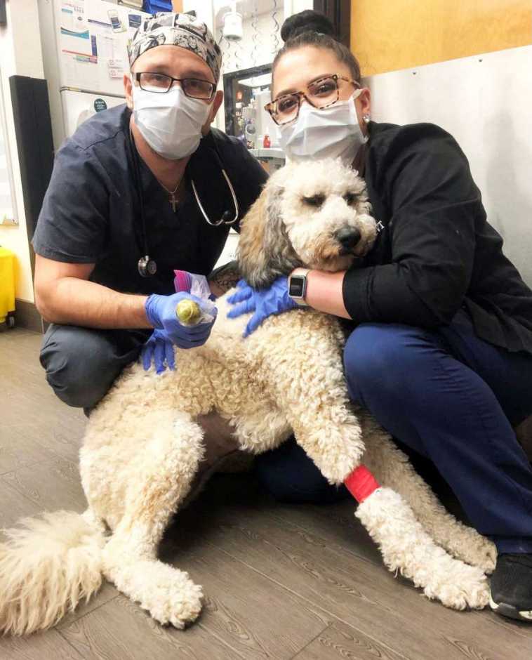 Un par de jóvenes asociados Banfield sosteniendo a un perro en Banfield Pet Hospital