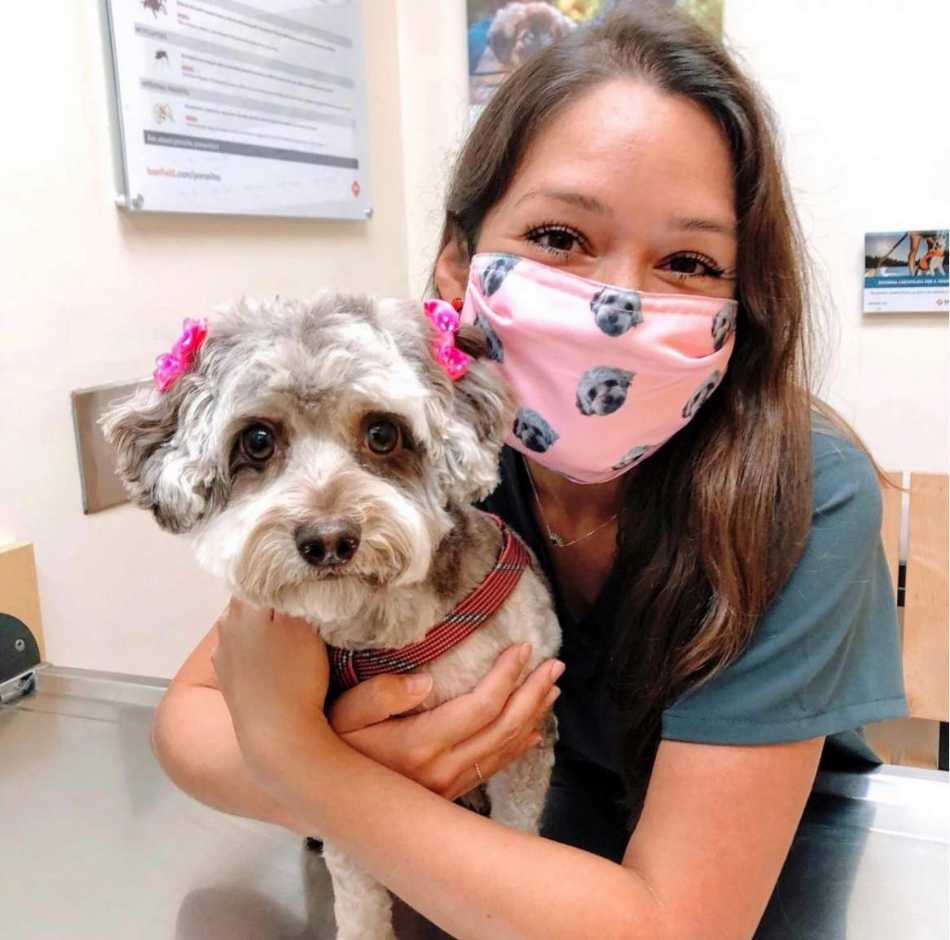 Asociada Banfield sosteniendo a un perro en el Banfield Pet Hospital