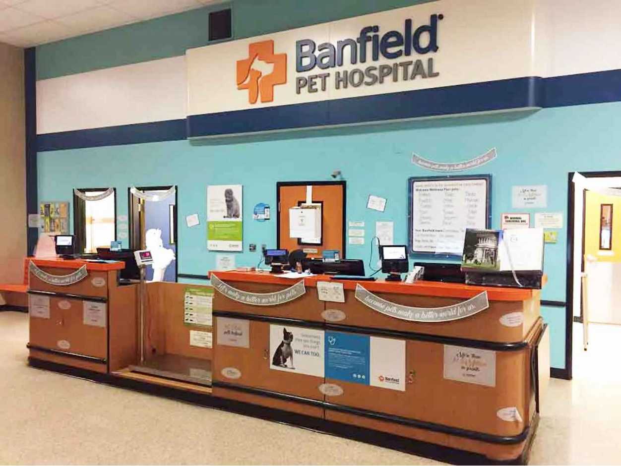 La recepción del Banfield Pet Hospital