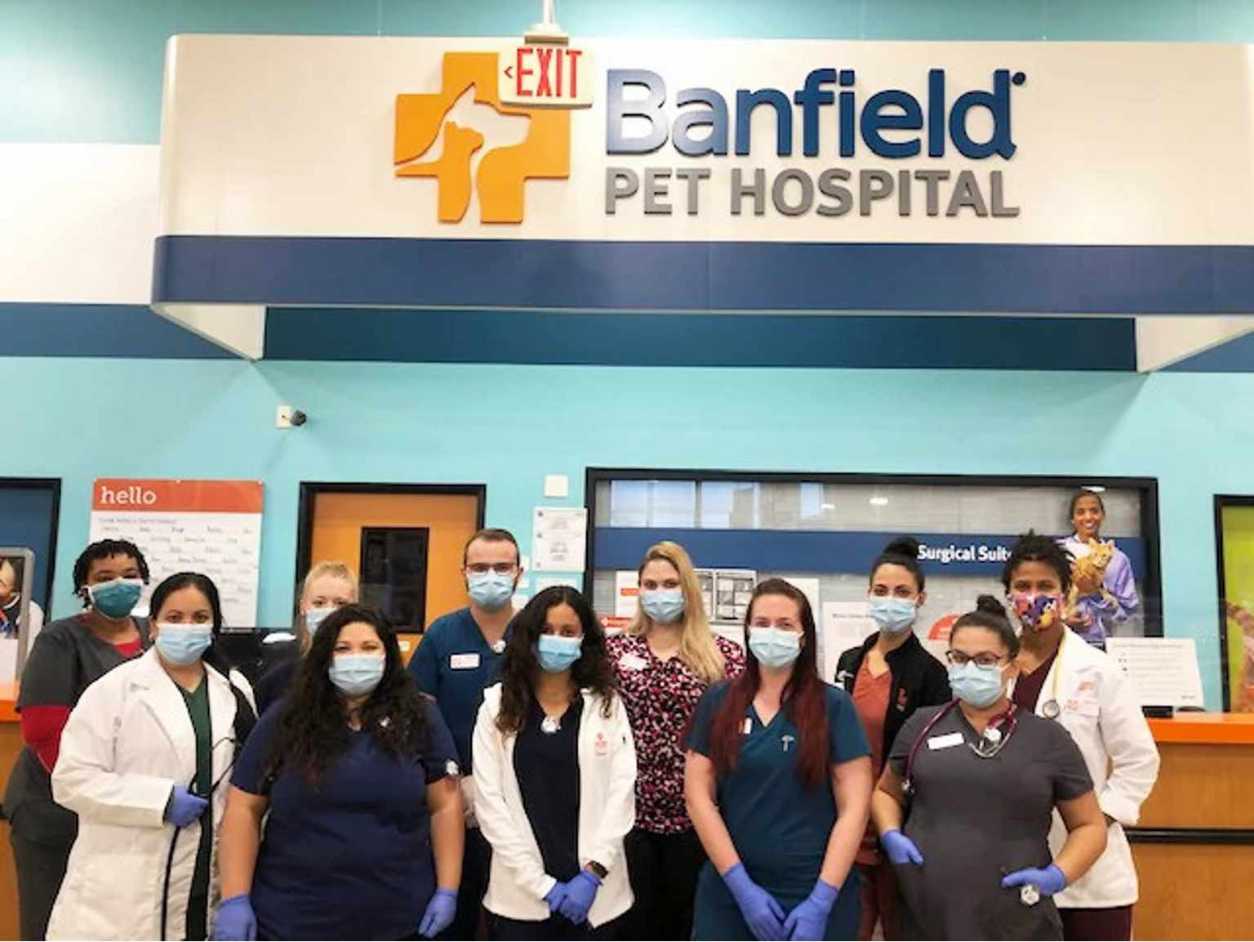 Un grupo de asociados Banfield en el centro Banfield Pet Hospital de Posner