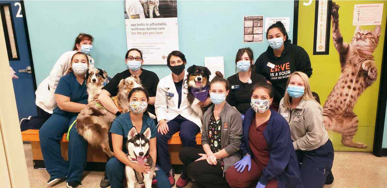 Grupo de asociados Banfield sosteniendo perros en el Banfield Pet Hospital