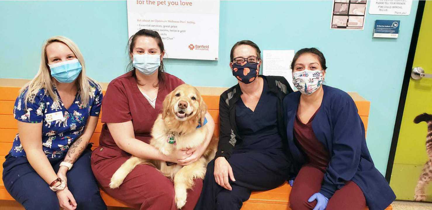 Grupo de asociados Banfield sentados con un perro en el Banfield Pet Hospital