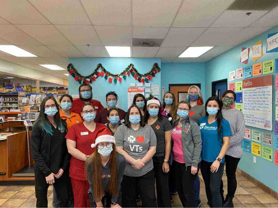 Grupo de asociados Banfield celebrando la Navidad en el Banfield Pet Hospital
