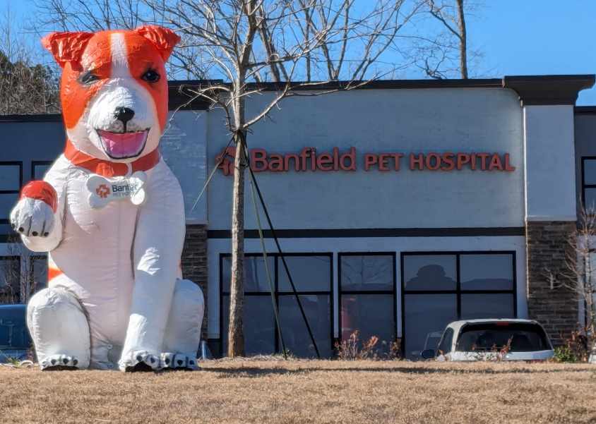 An inflatable dog advertising Johns Creek Proper