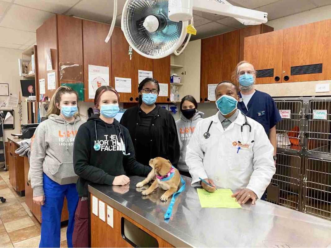 Médico examinando a un perro junto a los dueños en Banfield Hospital