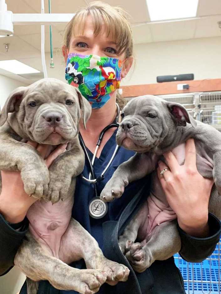 Una joven asociada Banfield sosteniendo dos cachorros en Banfield Pet Hospital