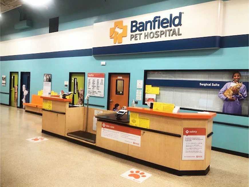 Banfield Pet Hospital, Baton Rouge East, Luisiana - Vestíbulo