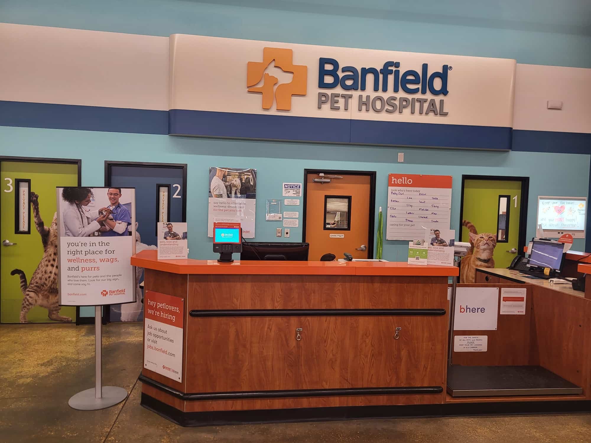 The front desk and lobby of the Elmwood location