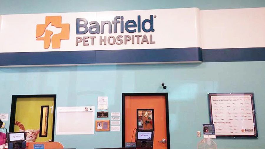 Banfield Pet Hospital, Westbank, Luisiana - Vestíbulo