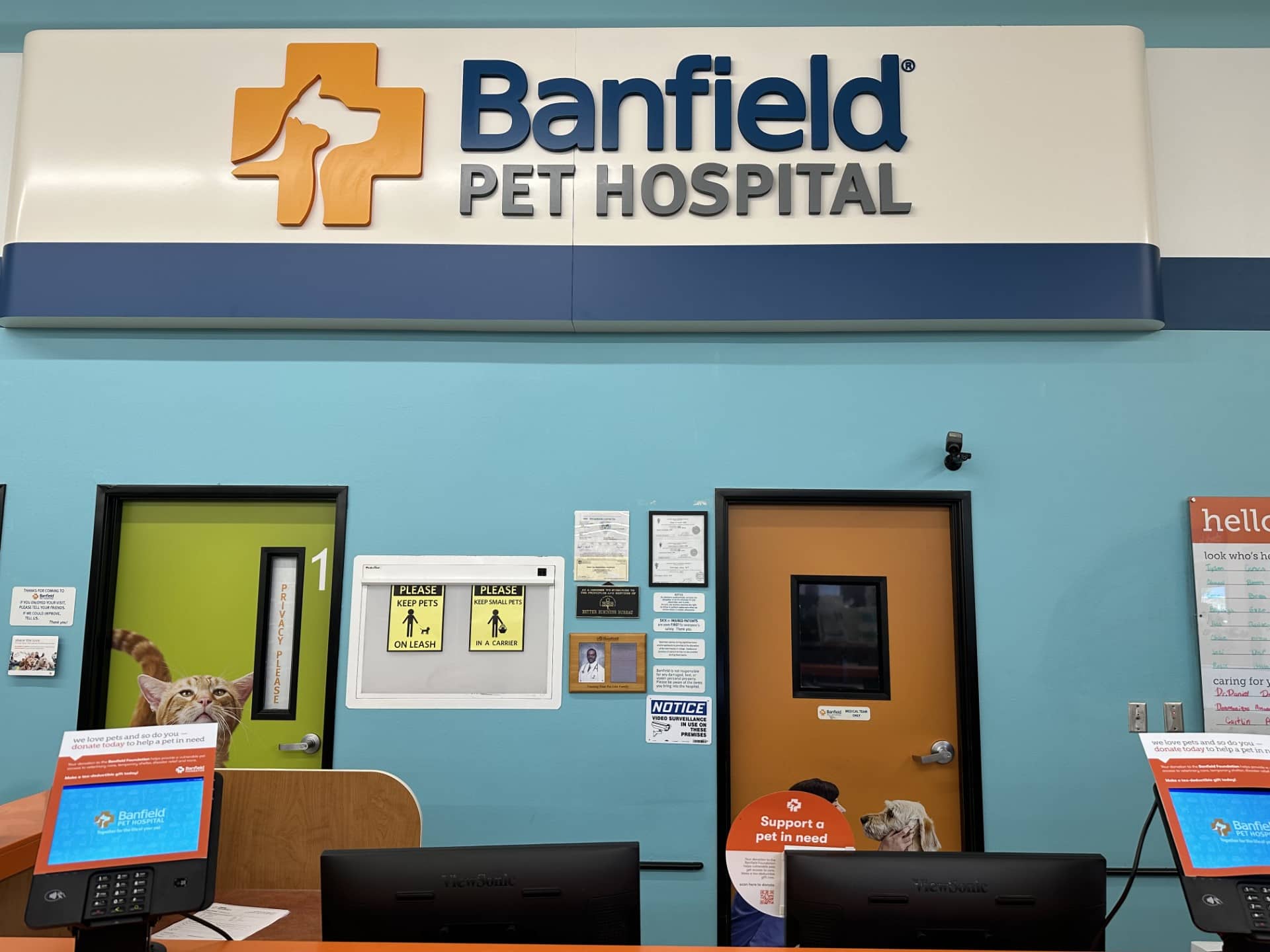 The front desk/waiting area of the Banfield Westbank hospital