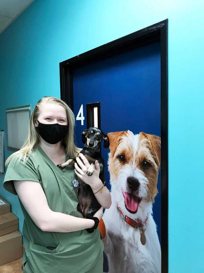Joven asociada sosteniendo a un perro en el Banfield Pet Hospital