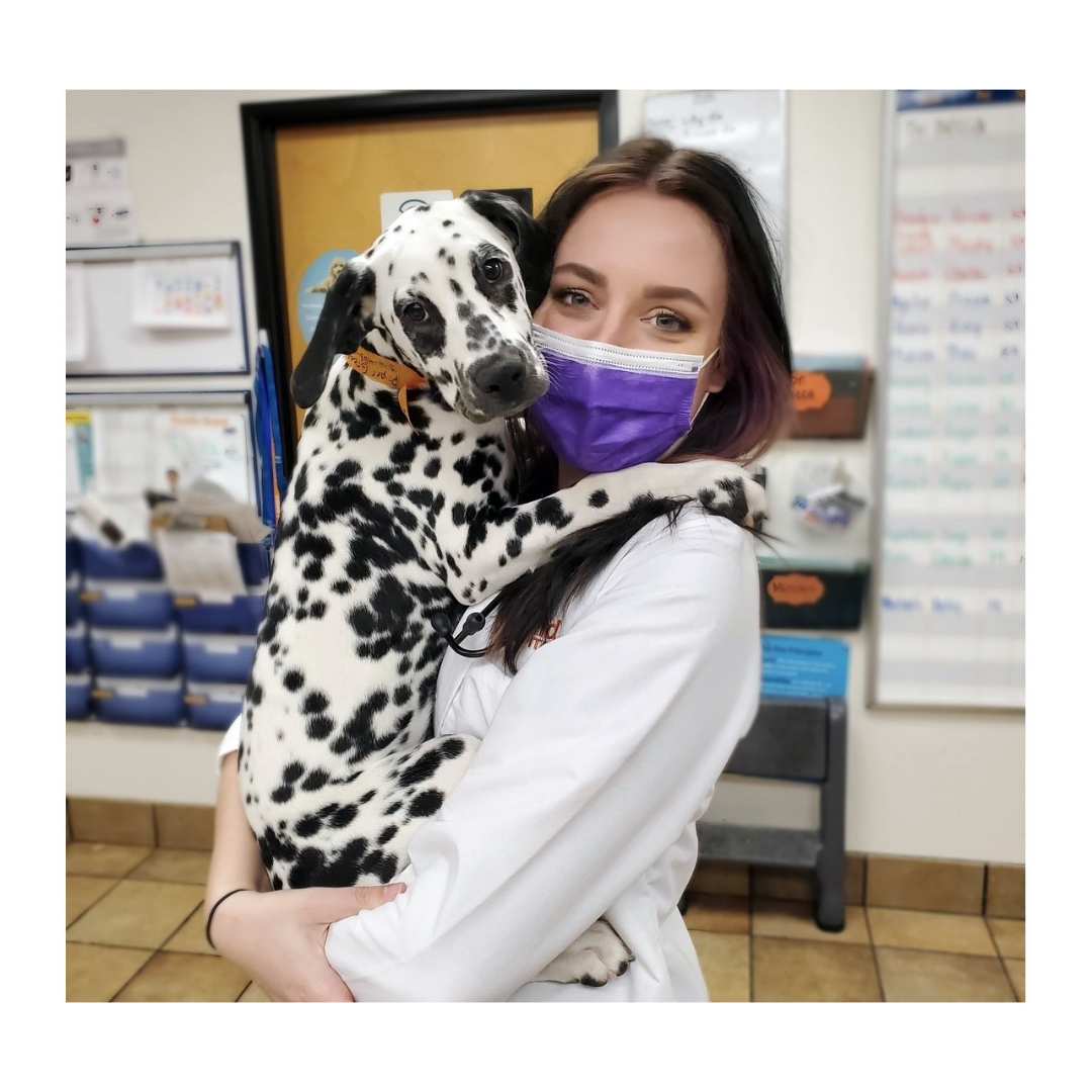 La Dra. Morrison con un perro