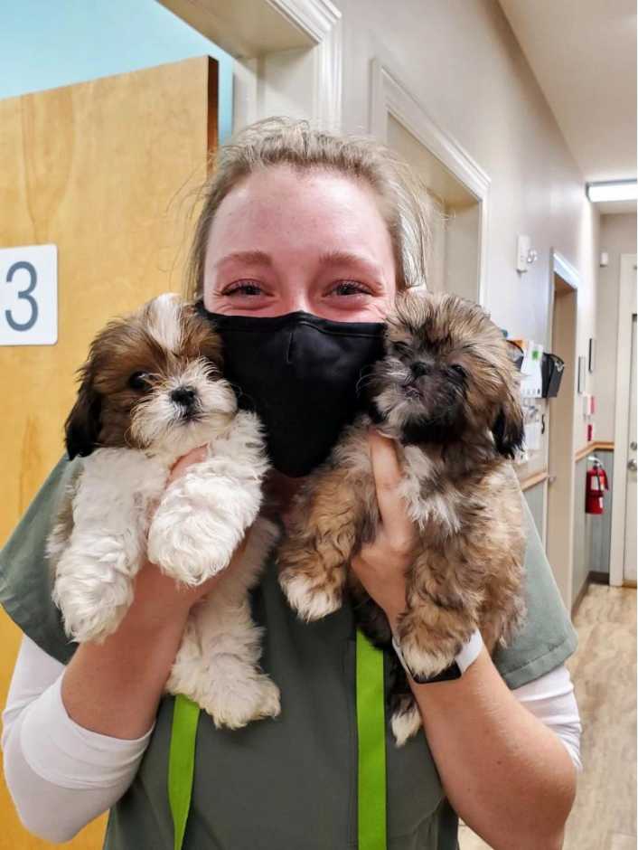 Asociada sosteniendo un par de cachorros en Banfield Pet Hospital, Yadkin Park, Carolina del Norte
