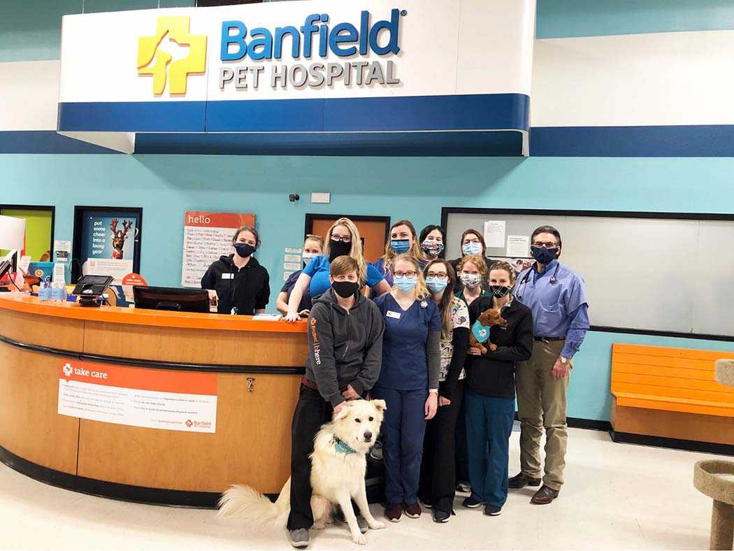  Grupo de asociados Banfield en el Banfield Pet Hospital de Asheville, Carolina del Norte