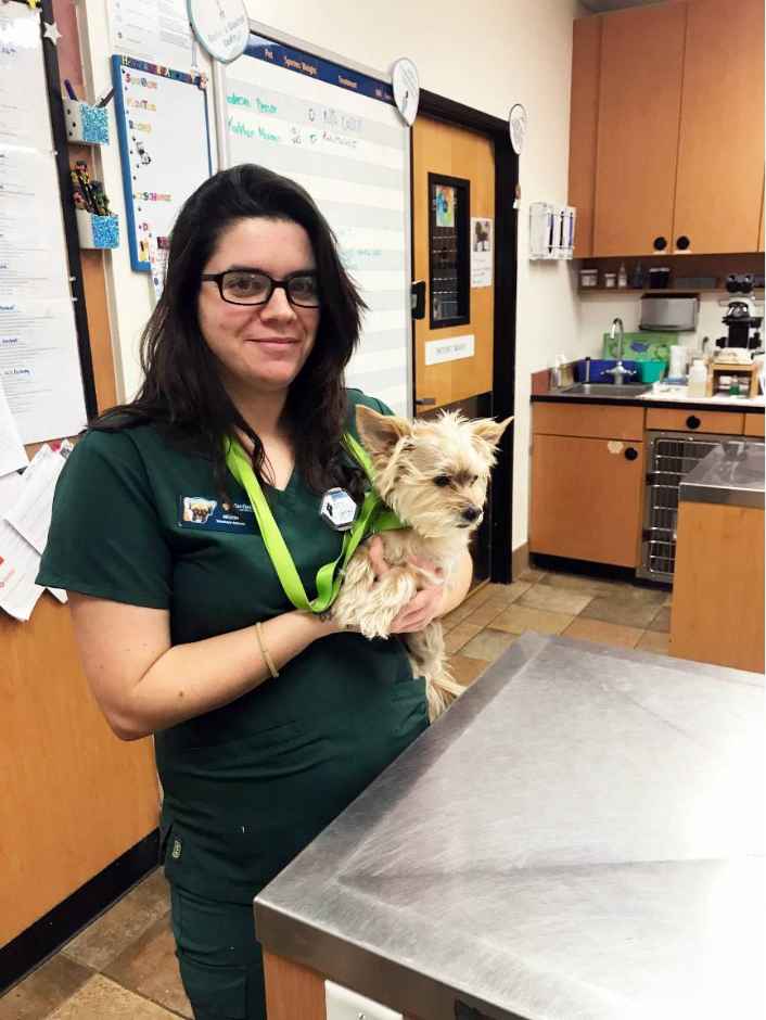 Veterinaria sosteniendo a un perro en Banfield Pet Hospital