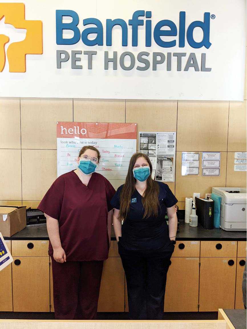 Par de veterinarias de Banfield Pet Hospital
