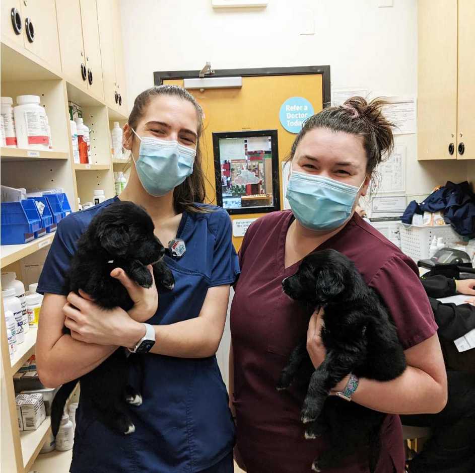 Par de veterinarias sosteniendo cachorros negros en Banfield Pet Hospital