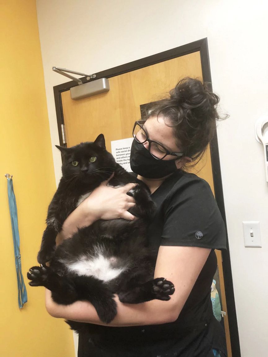 Una joven veterinaria abrazando a un gato en Banfield Pet Hospital