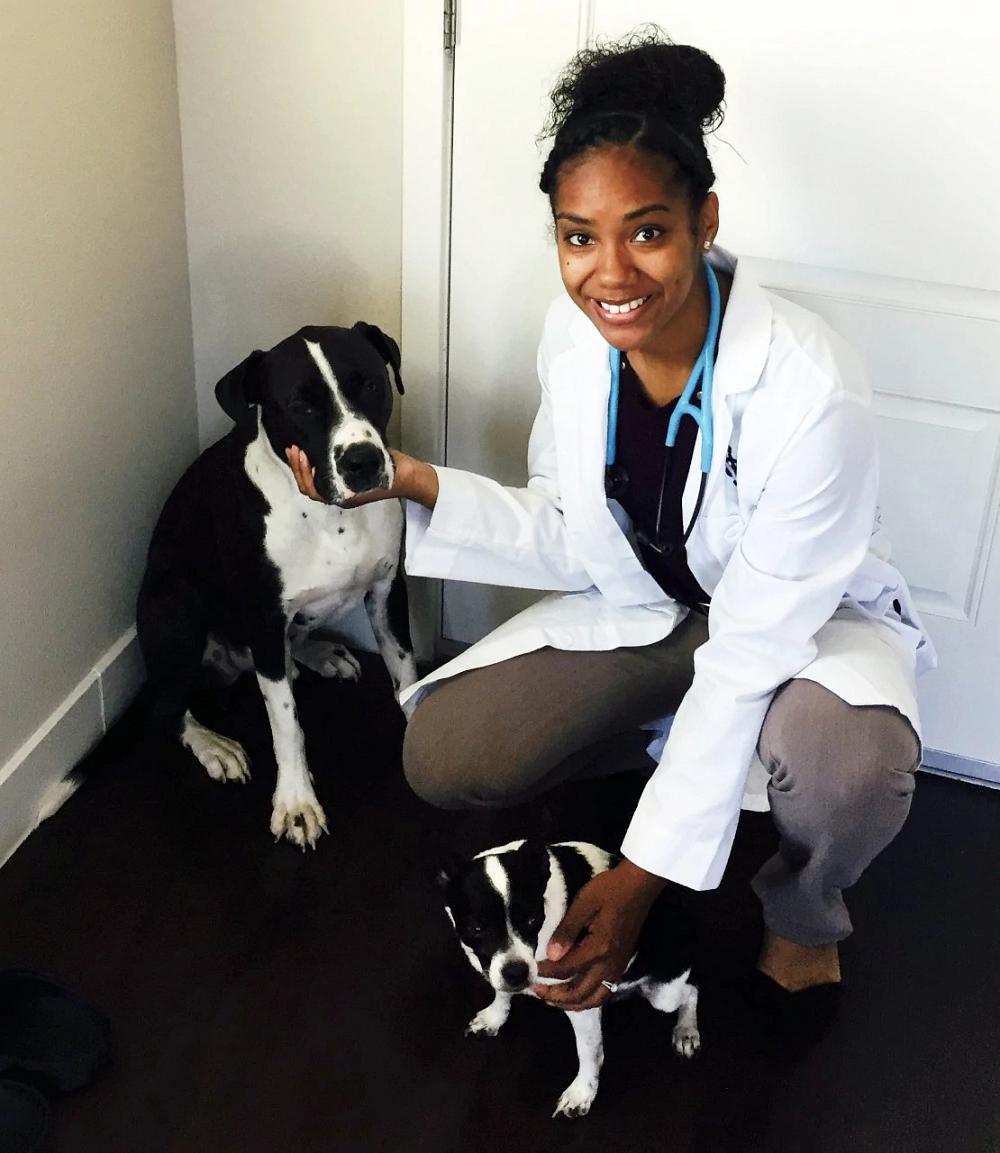 Una joven veterinaria acariciando a un perro y un cachorro en Banfield Pet Hospital