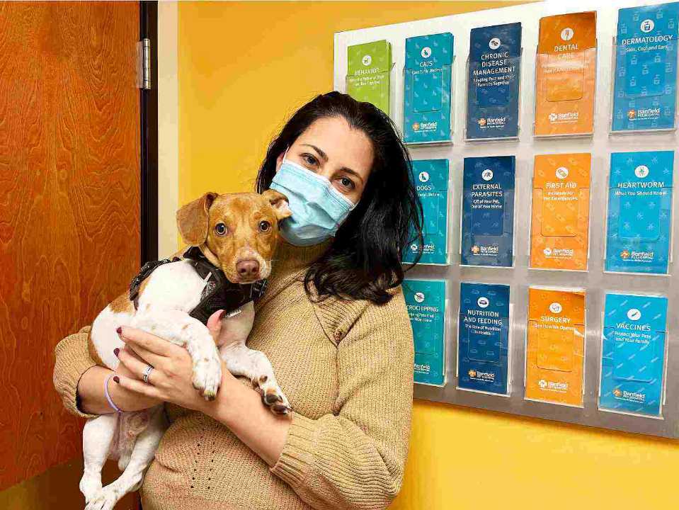 Una asociada sosteniendo a un perro en Banfield Pet Hospital