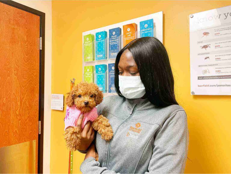 Una asociada sosteniendo a un cachorro en Banfield Pet Hospital