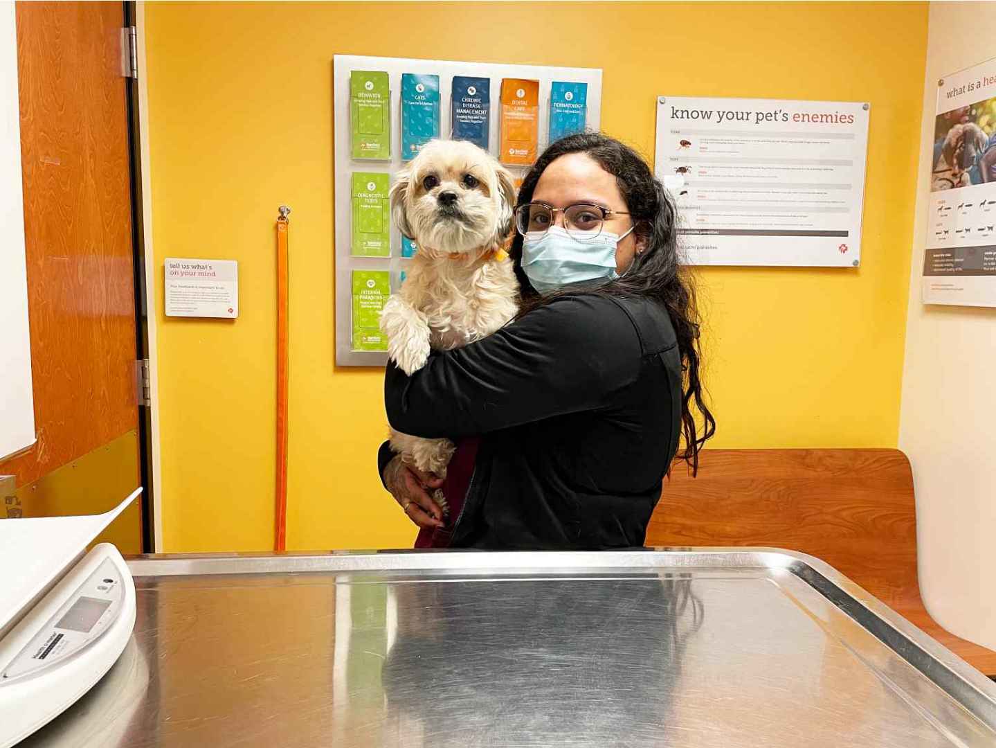Una asociada sosteniendo a un perro en Banfield Pet Hospital